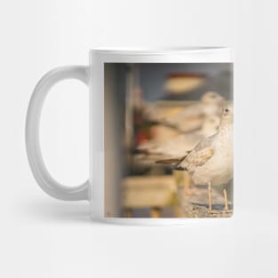 Portrait of medium-sized gull Mug